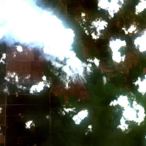 Wildfire near Muara Sabak — Sentinel-2 true color