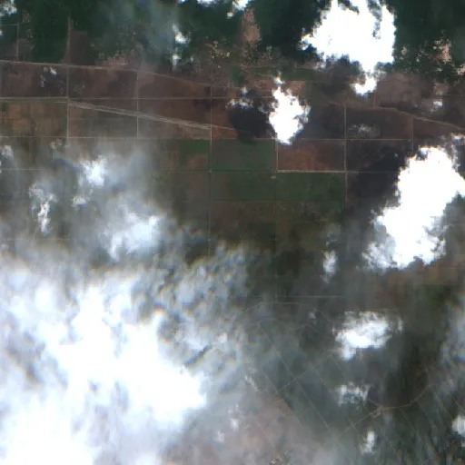 Wildfire near Muara Sugihan — Sentinel-2 true color