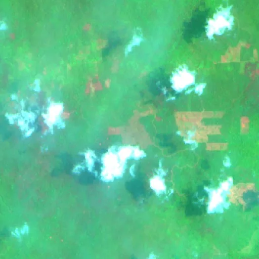 Wildfire near Muarakomam — Sentinel-2 SWIR (fuego)