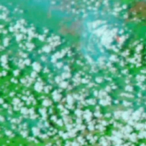 Wildfire near Muarakuang — NASA satellite