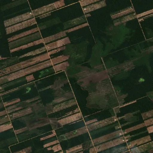 Wildfire near Municipio Ascención de Guarayos — Sentinel-2 true color