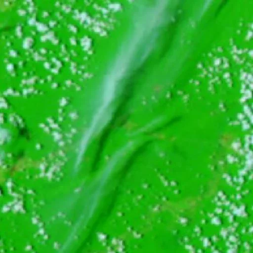Incendio cerca de Bella Flor — NASA satellite