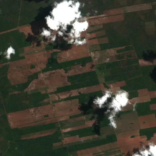 Wildfire near Municipio Concepción (Oct 8) — Sentinel-2 true color