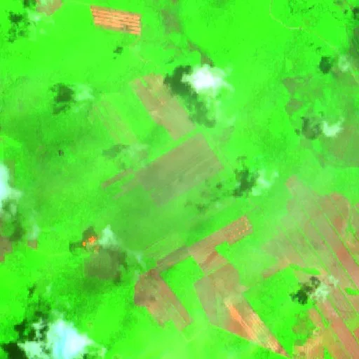 Wildfire near Concepción (Oct 22) — Sentinel-2 SWIR (fuego)