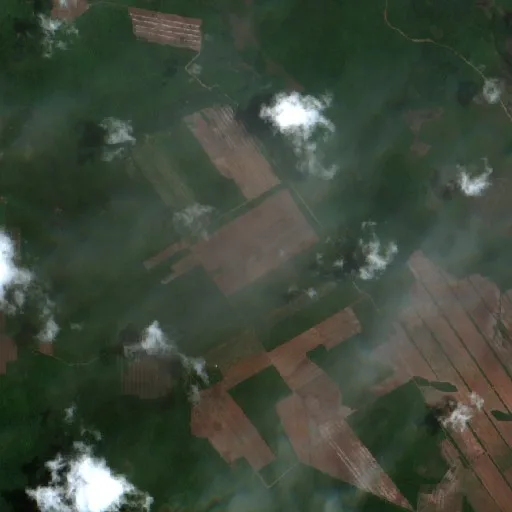 Wildfire near Concepción (Oct 22) — Sentinel-2 true color