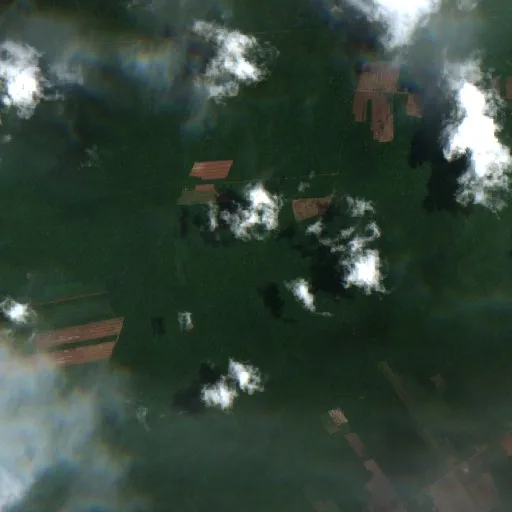 Wildfire near Concepción (Oct 23 · S) — Sentinel-2 true color