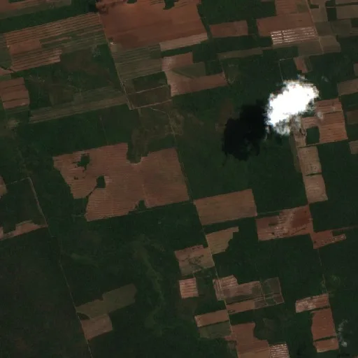 Wildfire near Municipio Concepción — Sentinel-2 true color