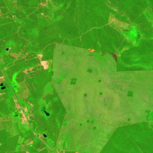 Wildfire near Municipio de San Martín Dos — Sentinel-2 SWIR (fuego)