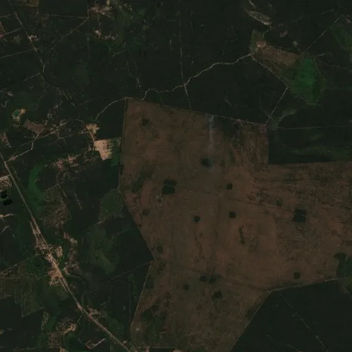 Wildfire near Municipio de San Martín Dos — Sentinel-2 true color