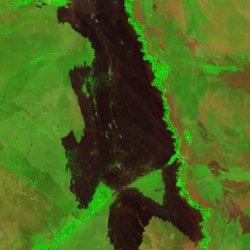 Wildfire near Municipio Exaltación (Jul 29 · SW) — Sentinel-2 SWIR