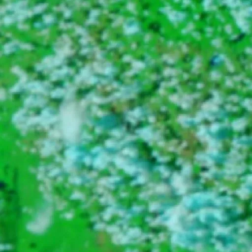 Wildfire near Municipio Huacaraje (Oct 5) — NASA satellite