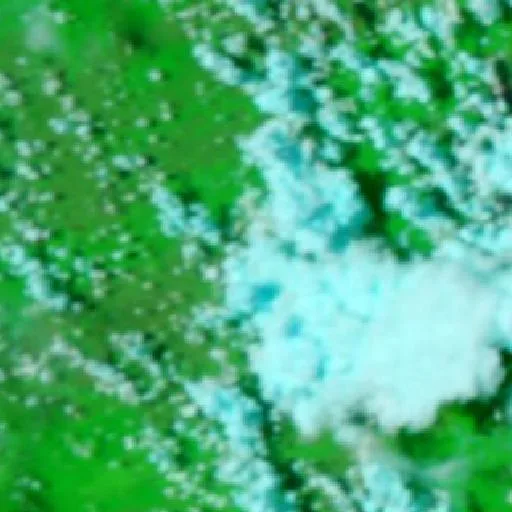 Incendio cerca de Municipio Ixiamas (9 oct) — NASA satellite