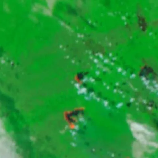Wildfire near Municipio Ixiamas (Oct 9 · N) — NASA satellite
