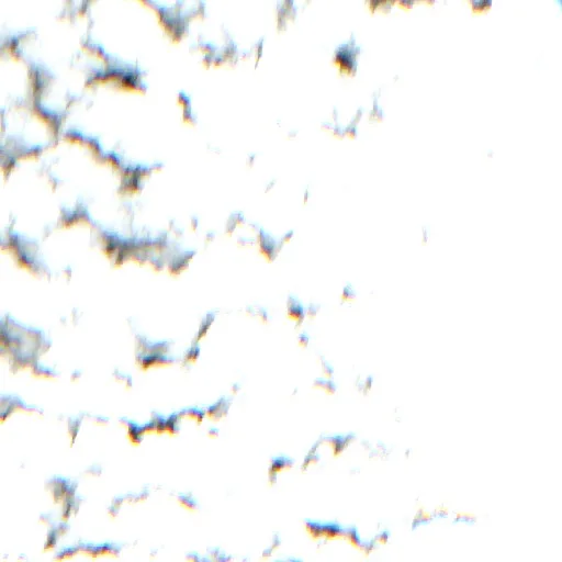 Wildfire near Municipio Ixiamas (Oct 9 · SE) — Sentinel-2 true color