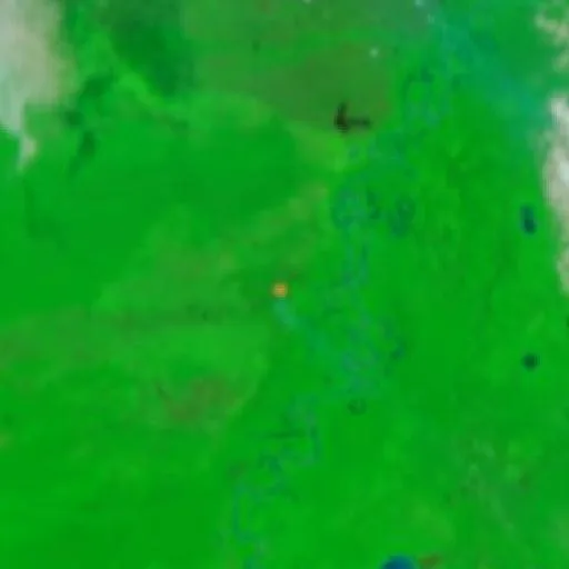 Wildfire near Municipio Ixiamas (Oct 10 · S) — NASA satellite