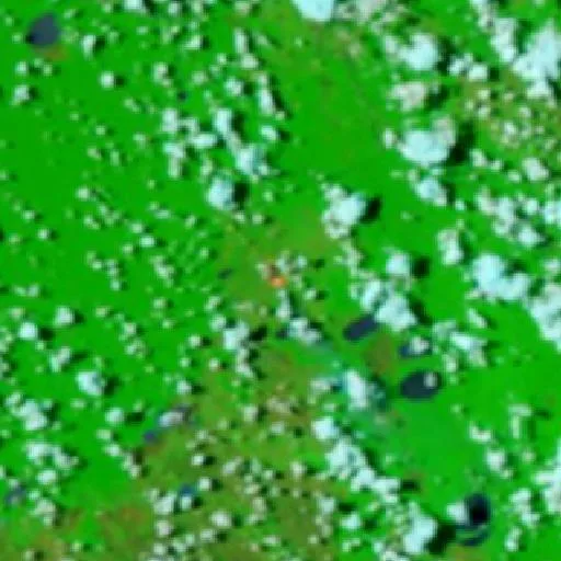 Wildfire near Municipio Magdalena (Oct 3) — NASA satellite
