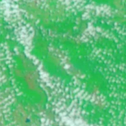 Wildfire near Municipio Magdalena (Oct 12) — NASA satellite