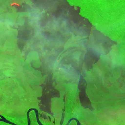 Wildfire near Municipio Magdalena — Sentinel-2 SWIR (fuego)