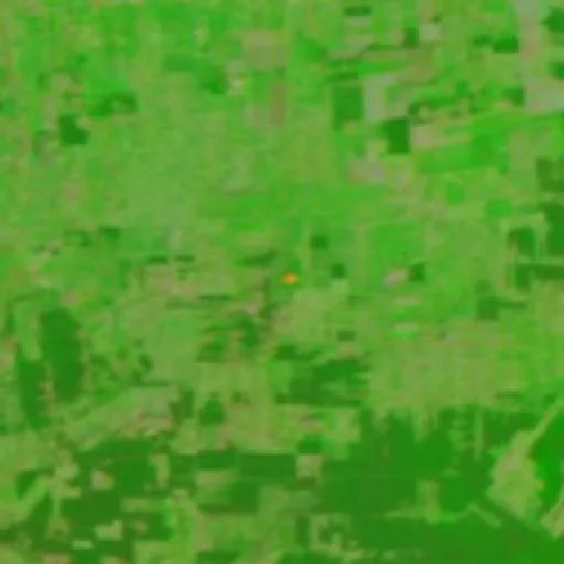 Wildfire near Municipio Pailón — NASA satellite