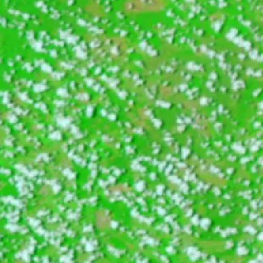 Wildfire near San Ignacio de Velasco — NASA satellite