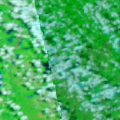 Wildfire near Municipio San Joaquin (Oct 5) — NASA satellite