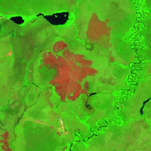 Incendio cerca de Municipio San Joaquin (24 jul) — Sentinel-2 SWIR