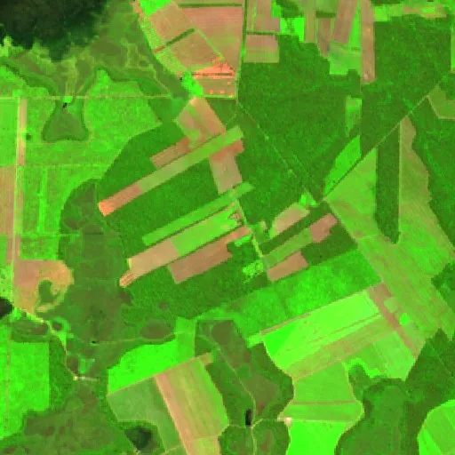 Wildfire near Municipio San Miguel de Velasco (Jul 24 · E) — Sentinel-2 SWIR (fuego)