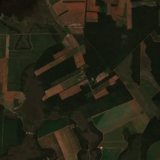 Wildfire near Municipio San Miguel de Velasco (Jul 24 · E) — Sentinel-2 true color
