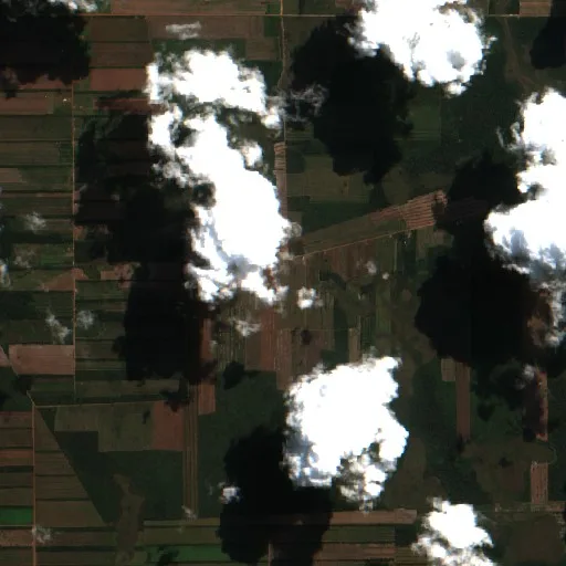 Wildfire near Municipio San Miguel de Velasco (Jul 24 · W) — Sentinel-2 true color