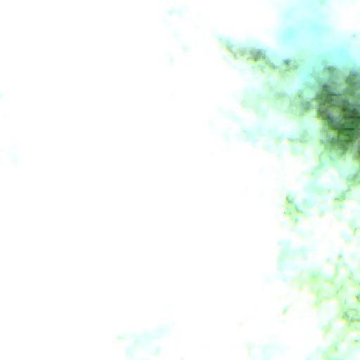 Wildfire near Municipio San Miguel de Velasco (Aug 23) — Sentinel-2 SWIR (fuego)