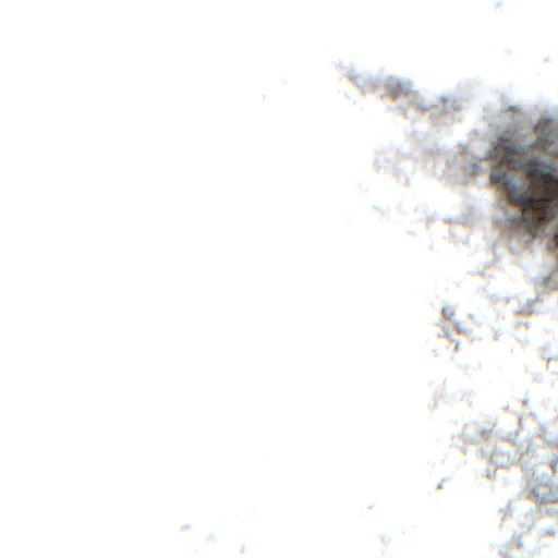 Wildfire near Municipio San Miguel de Velasco (Aug 23) — Sentinel-2 true color
