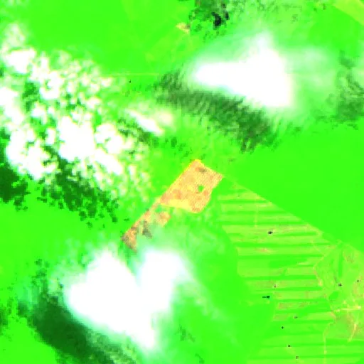Incendio cerca de San Miguel de Velasco (20 oct) — Sentinel-2 SWIR (fuego)
