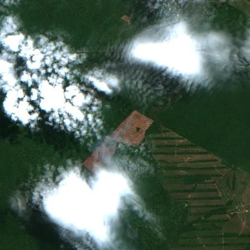 Incendio cerca de San Miguel de Velasco (20 oct) — Sentinel-2 true color
