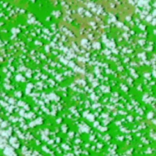 Incendio cerca de San Miguel de Velasco (25 oct) — NASA satellite