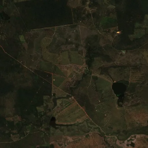 Wildfire near Municipio San Miguel de Velasco (Jul 23) — Sentinel-2 true color