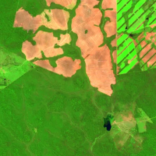 Incendio cerca de Municipio San Rafael (24 jul) — Sentinel-2 SWIR (fuego)
