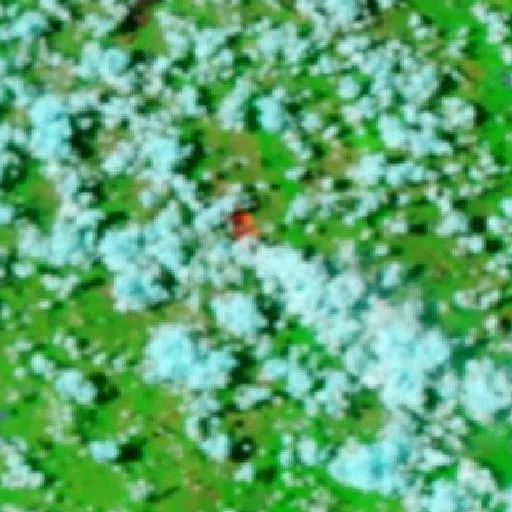 Wildfire near Municipio San Ramón (Oct 3) — NASA satellite