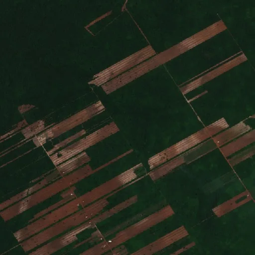 Wildfire near Urubichá (Oct 21) — Sentinel-2 true color