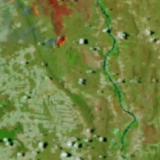Wildfire near Muquém do São Francisco (Oct 8) — NASA satellite