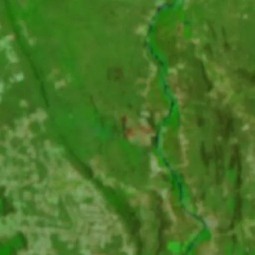 Incendio cerca de Muquém do São Francisco — NASA satellite