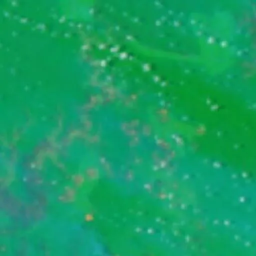 Wildfire near Muting (Sep 29 · N) — NASA satellite