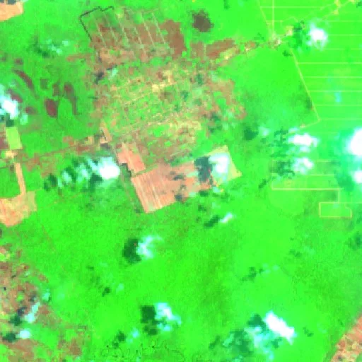 Incendio cerca de Muting (11 oct · N) — Sentinel-2 SWIR (fuego)