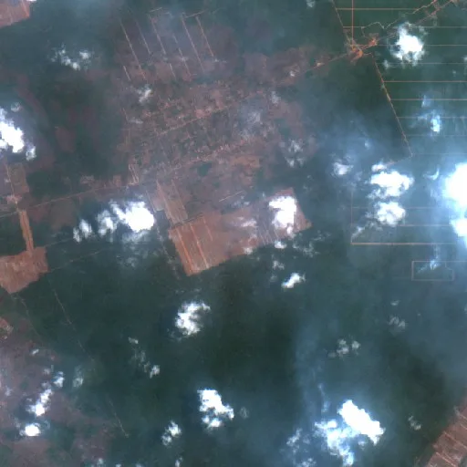 Incendio cerca de Muting (11 oct · N) — Sentinel-2 true color