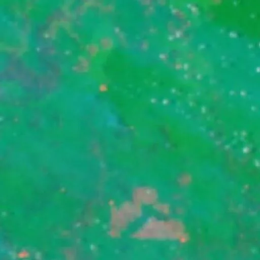 Wildfire near Muting (Sep 29 · S) — NASA satellite