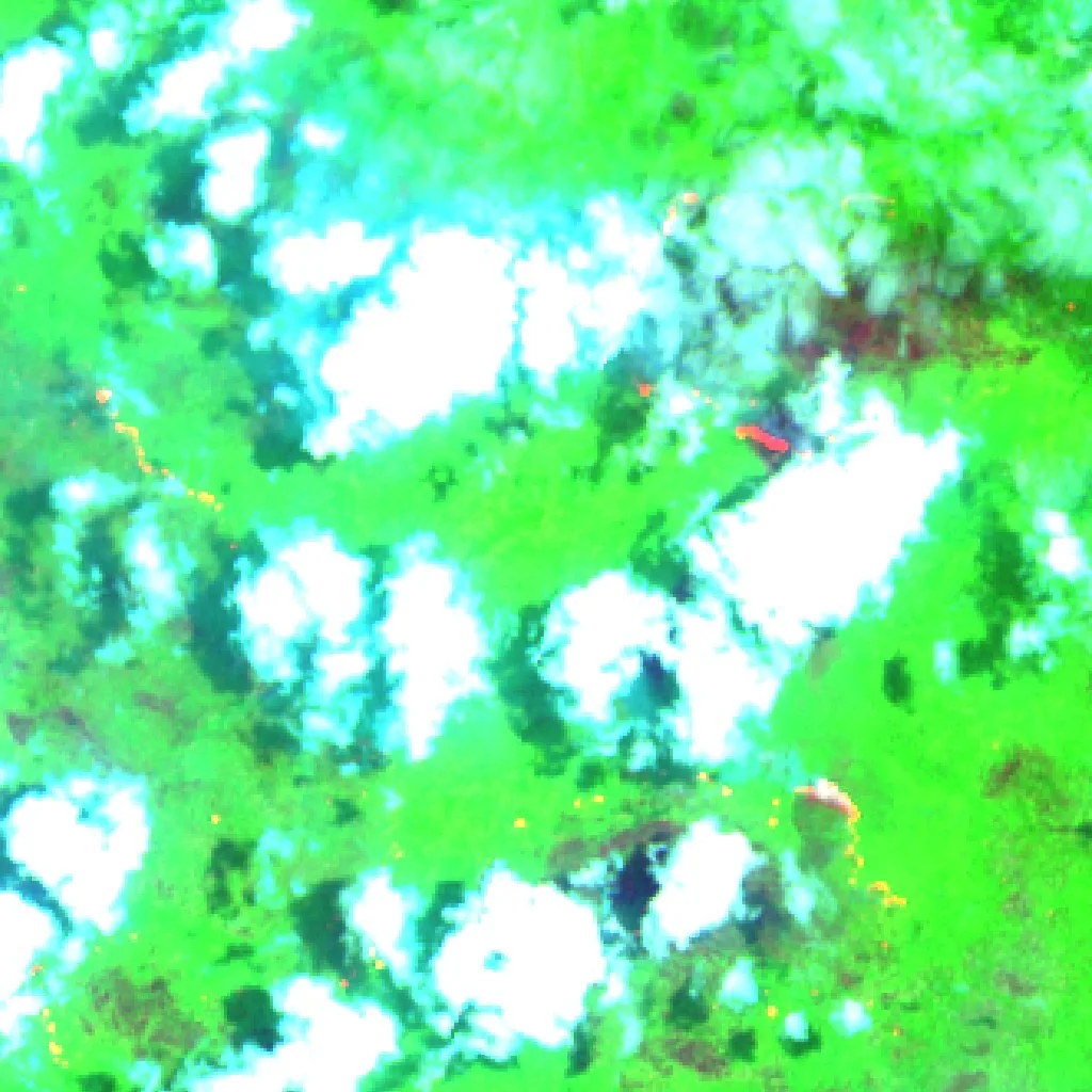 Incendio cerca de Muting (12 oct) — Sentinel-2 SWIR (fuego)
