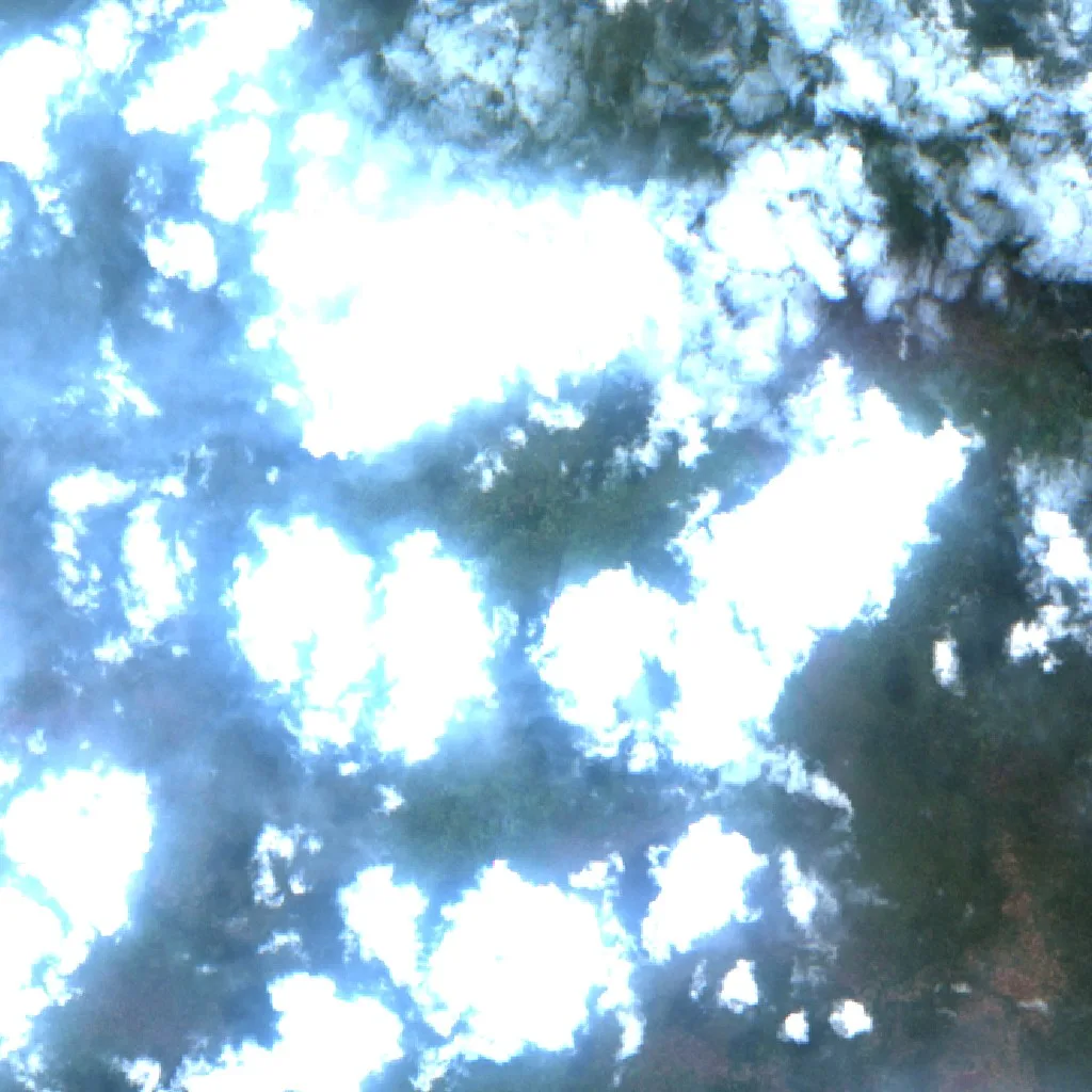 Incendio cerca de Muting (12 oct) — Sentinel-2 true color