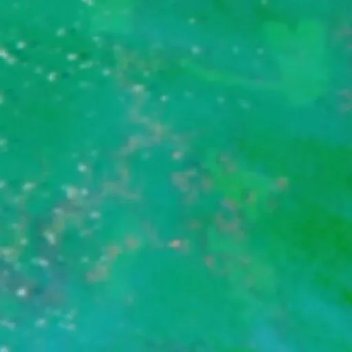 Wildfire near Muting (Oct 10 · N #2) — NASA satellite
