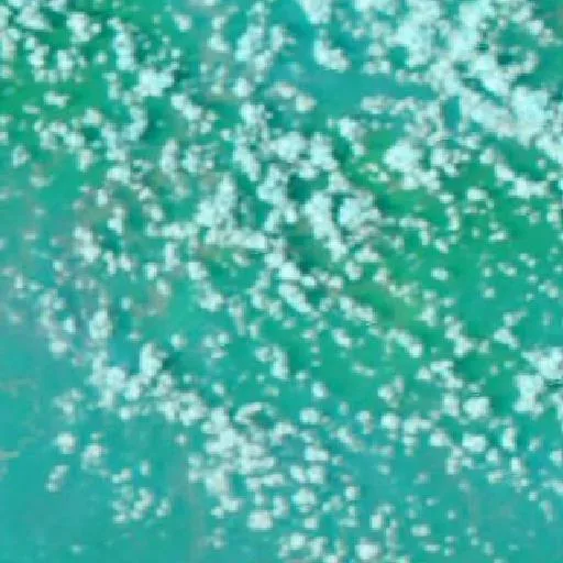Incendio cerca de Muting (26 oct) — NASA satellite