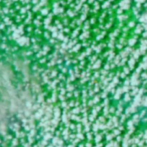 Wildfire near Muting — NASA satellite