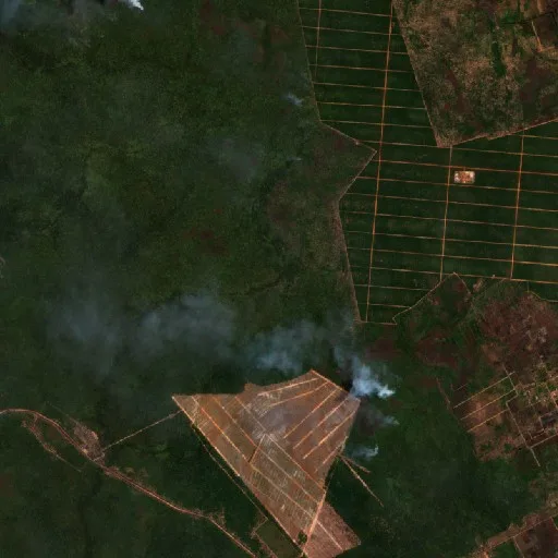 Incendio cerca de Muting (5 oct · E) — Sentinel-2 true color